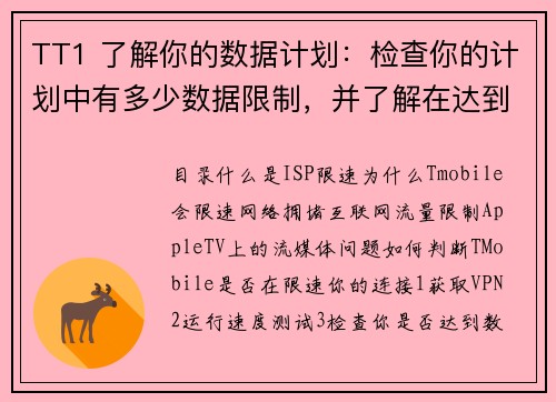 TT1 了解你的数据计划：检查你的计划中有多少数据限制，并了解在达到限制后会发生什